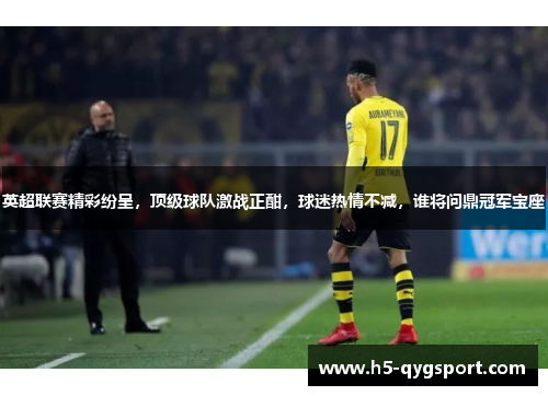 英超联赛精彩纷呈，顶级球队激战正酣，球迷热情不减，谁将问鼎冠军宝座