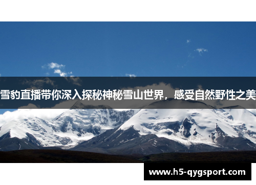雪豹直播带你深入探秘神秘雪山世界，感受自然野性之美